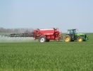 Захист озимих зернових від шкідників навесні