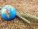 До уваги українських експортерів рослинної продукції!