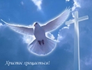 Христос Хрещається!