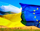 Експорт садивного матеріалу клену до ЄС: що необхідно знати виробникам